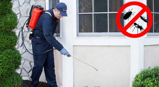 Karpuzlu Dezenfeksiyon böcek ilaçlama ve haşere kontrolü — ilaclama-tr.com
